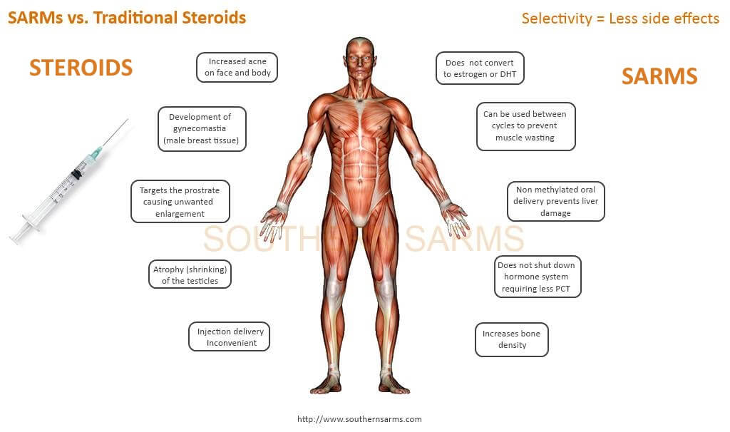 SARMs vs traditional steroids like testosterone
